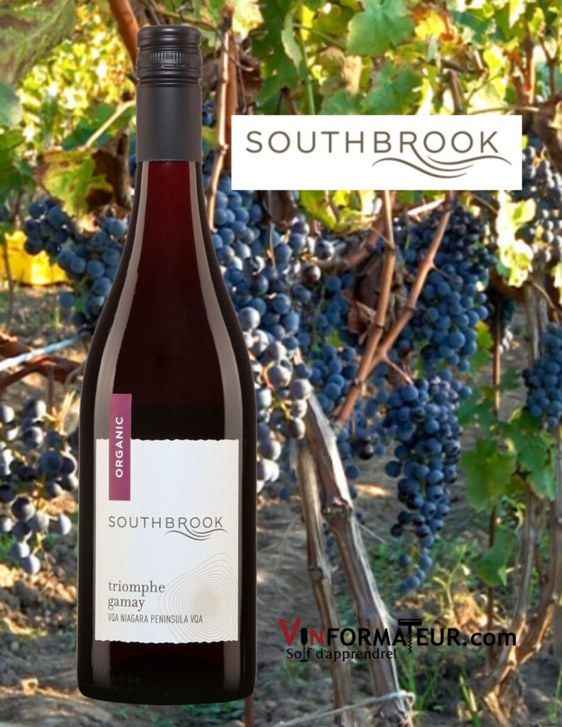 Bouteille de Triomphe, Gamay, Ontario, Péninsule du Niagara, Southbrook Vineyards, vin rouge bio, 2019