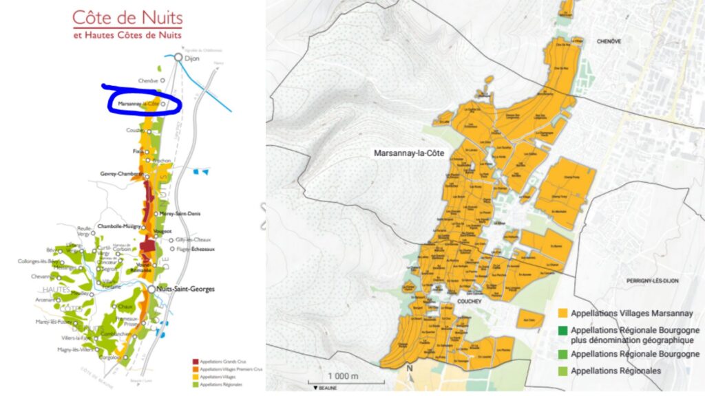 Carte viticole Côte de Nuits et Marsannay