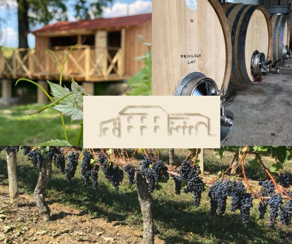 Vignobles Turtaut: chai et vignobles