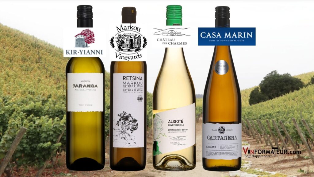 Voici donc 4 suggestions de très beaux vins blancs de Grèce, du Niagara et du Chili sous la barre des 20$!