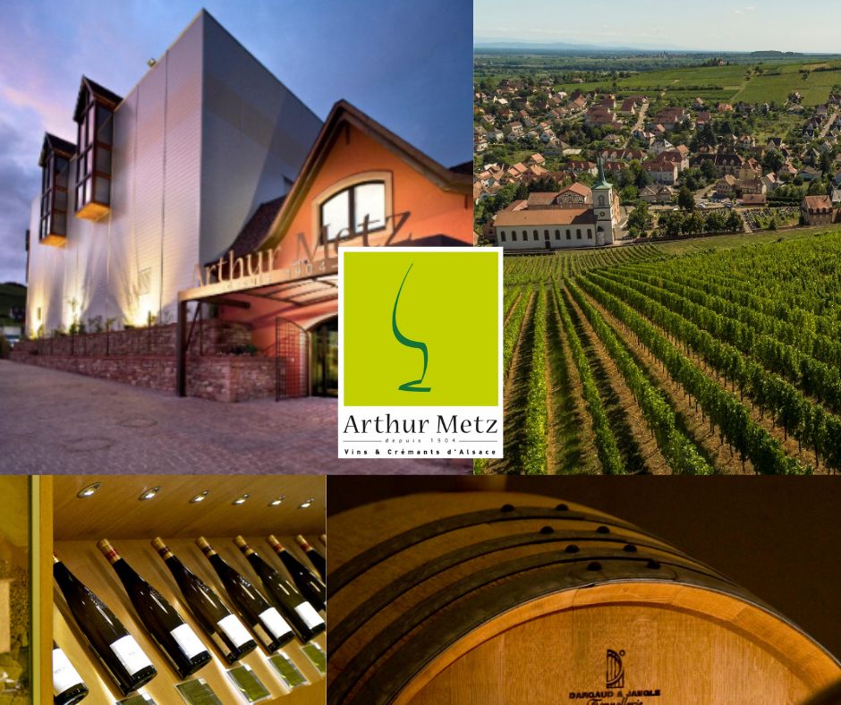 Arthur Metz: chai, vignobles et bouteilles