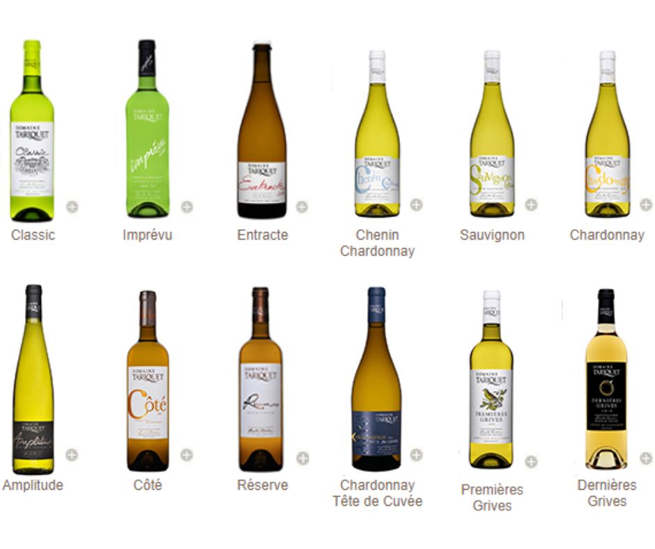 Vins blancs Domaine Tariquet