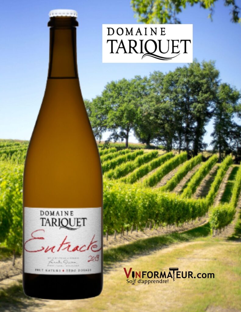 Bouteille de Domaine Tariquet, Entracte, France, Sud-Ouest, Côtes-de-Gascogne, Pet Nat, 2021