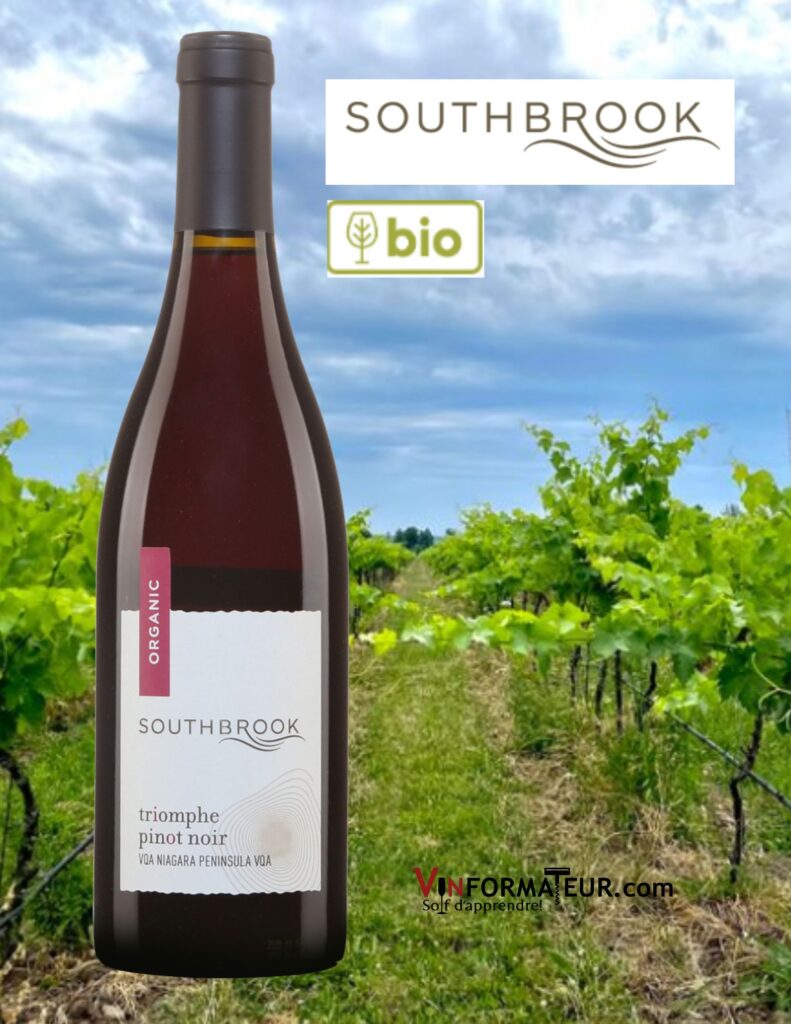 Bouteille de Pinot Noir, Triomphe, Ontario, Péninsule du Niagara, vin rouge bio, 2019