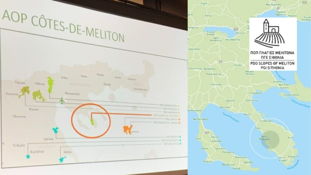 Cartes viticoles: AOP Côtes de Meliton et IGP Sithonie