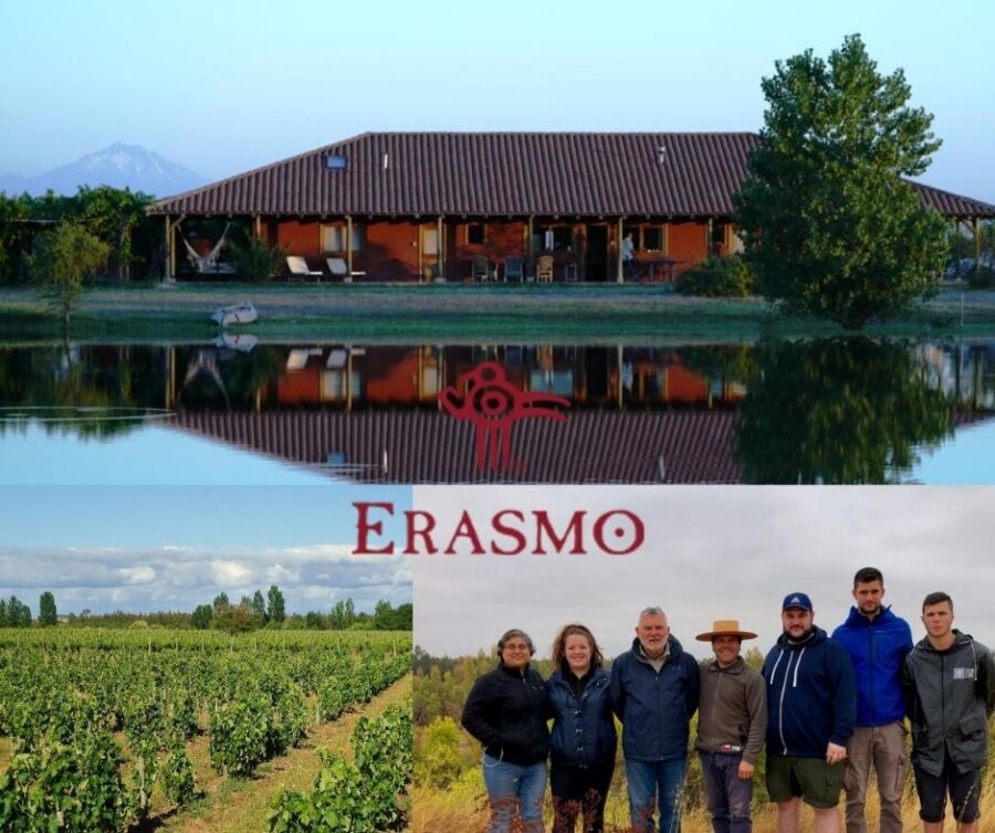 Erasmo: chai et vignobles