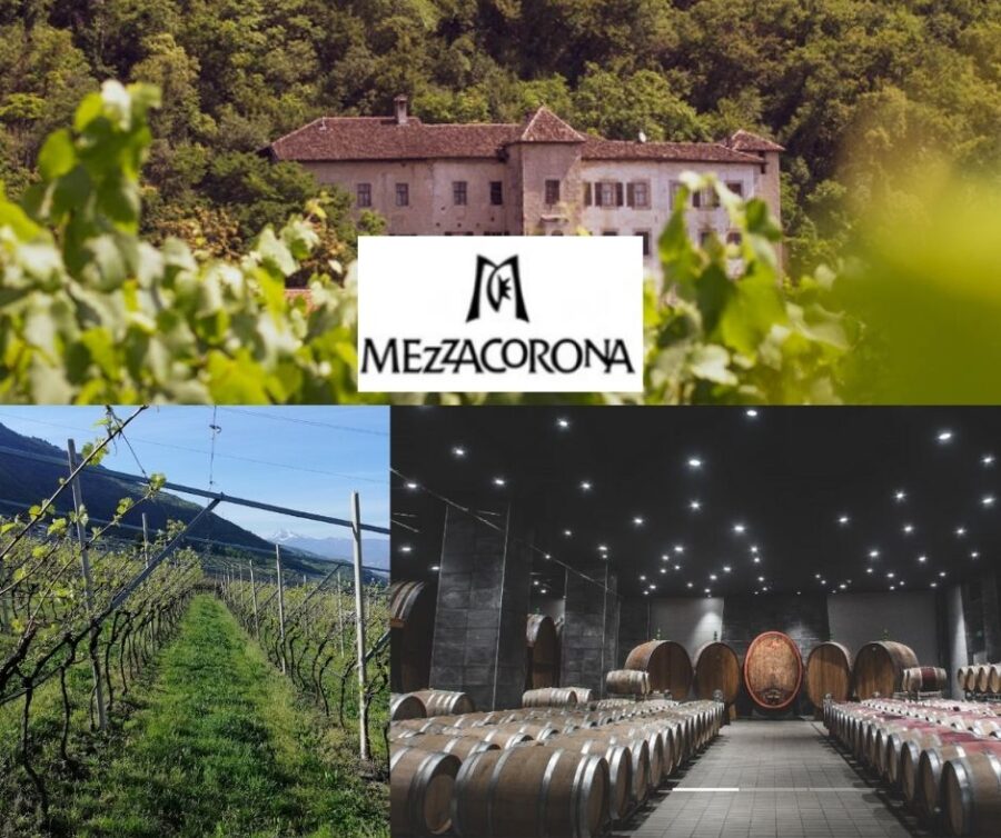 Mezzacorona: chai et vignobles
