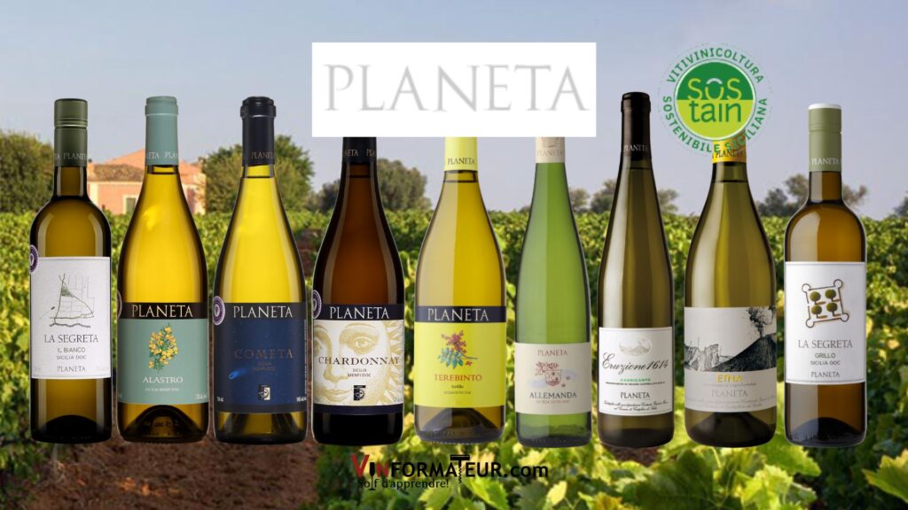 Découvrez ces 9 vins blancs organiques/bio de la Sicile. De beaux coups de coeur et des rapports qualité/prix durs à battre. Bouteilles, maison Planeta