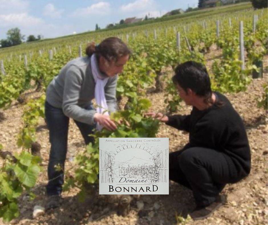 Domaine Bonnard: vignobles