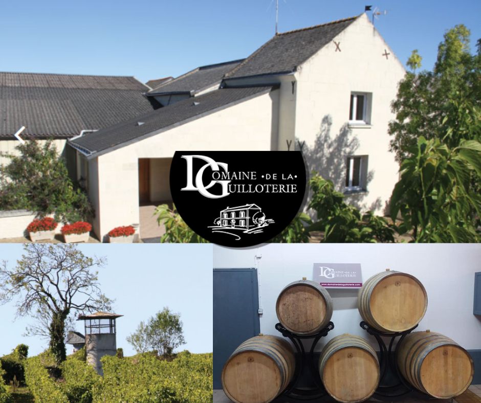 Domaine de la Guilloterie: chai et vignobles