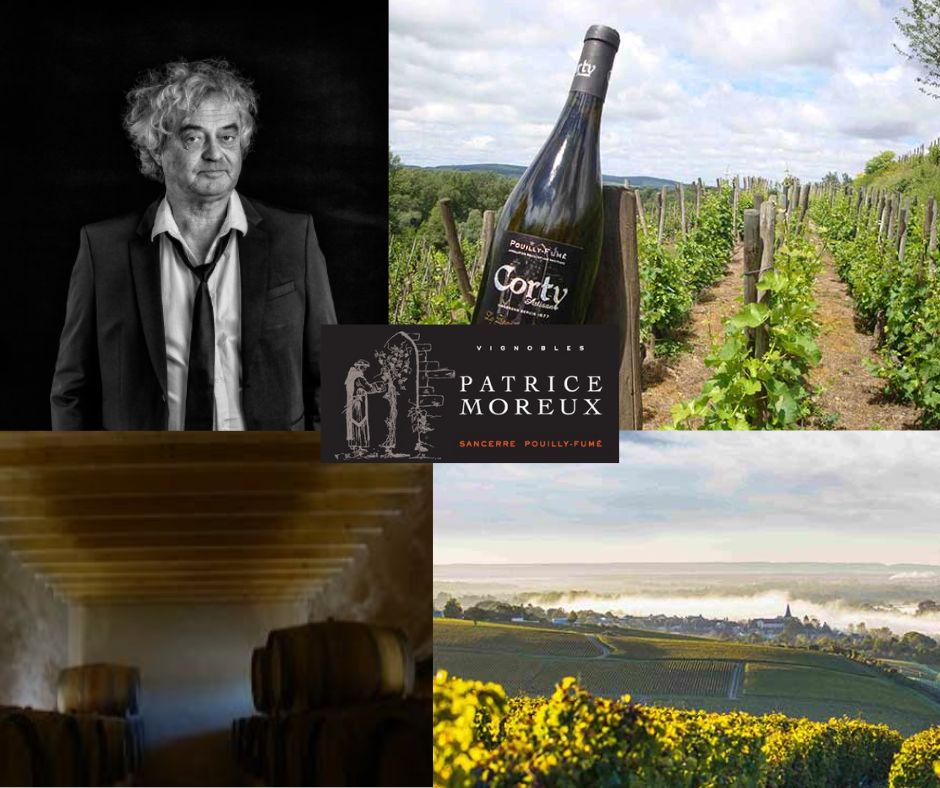 Vignobles Patrice Moreux: Patrice Moreux, chai et vignobles