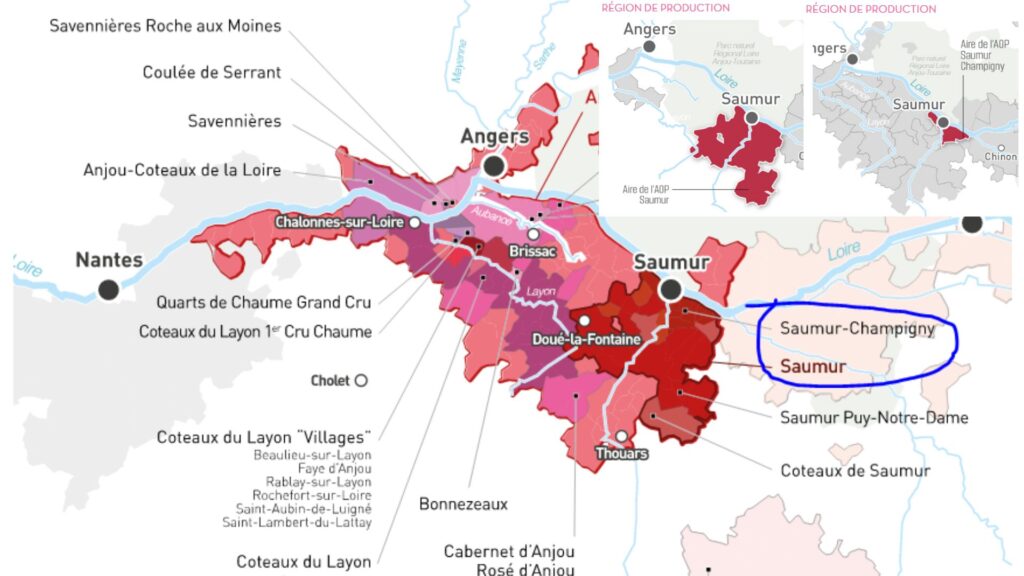 Carte viticole Anjou Saumur