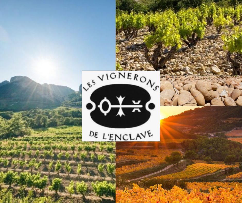Vignerons de l'Enclave: vignobles