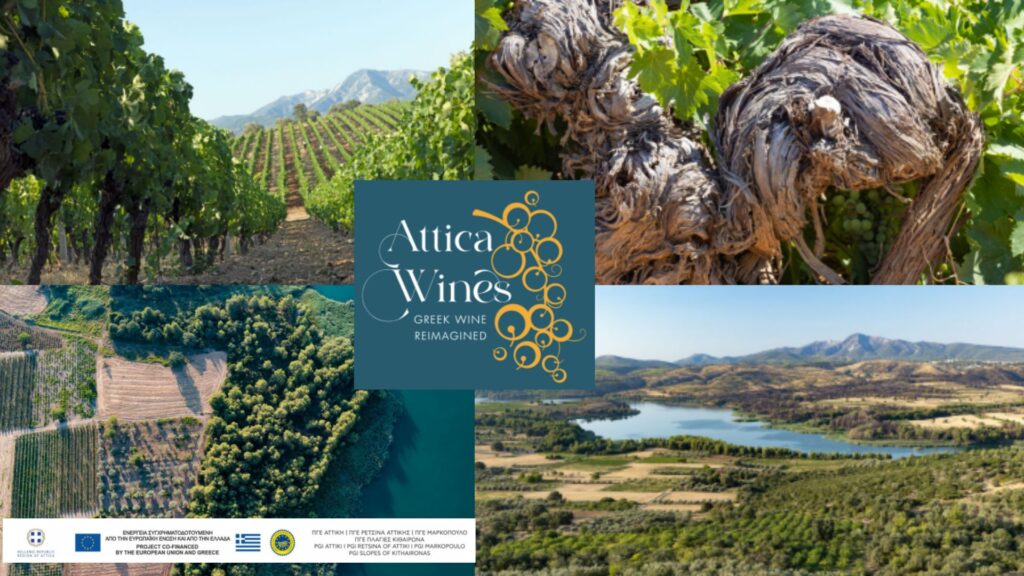 Découvrez les vins Grecs de l’Attique!