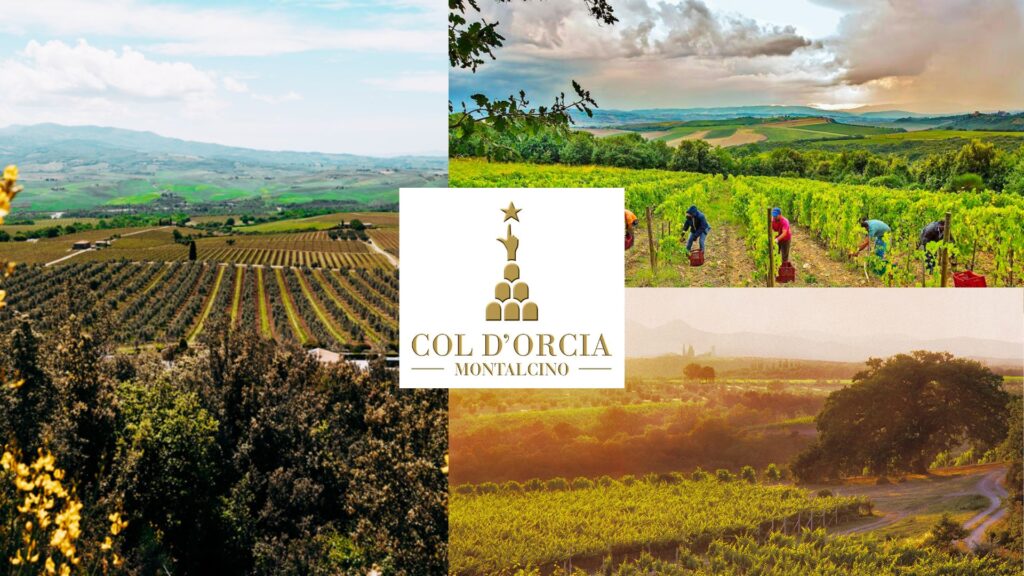 Vignobles Col d'Orcia