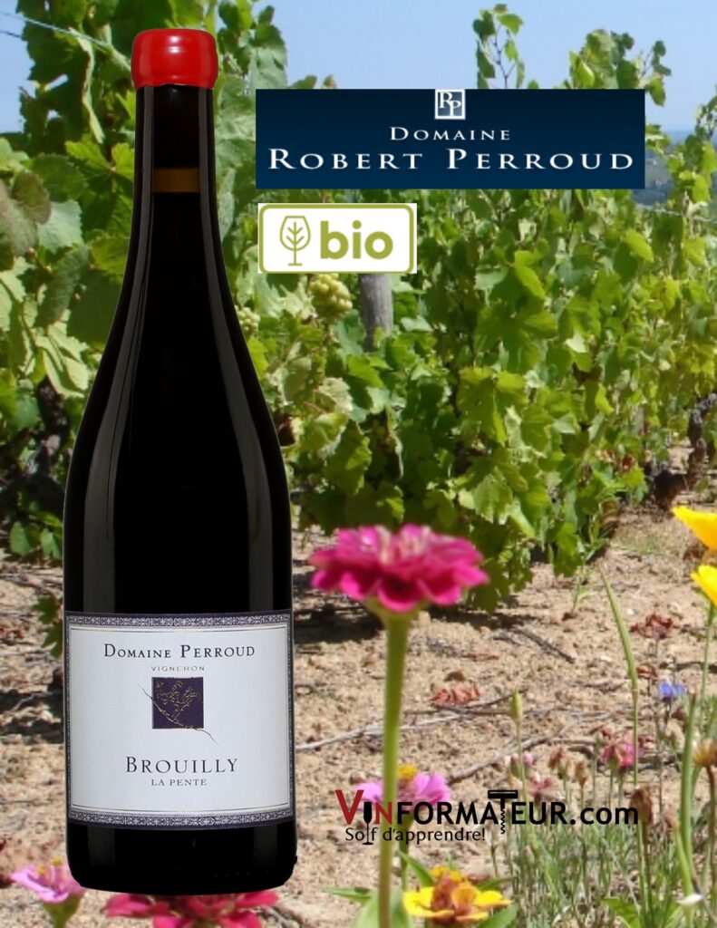 Bouteille de Beaujolais, Brouilly, Cuvée Les Pentes, vin rouge bio, 2020