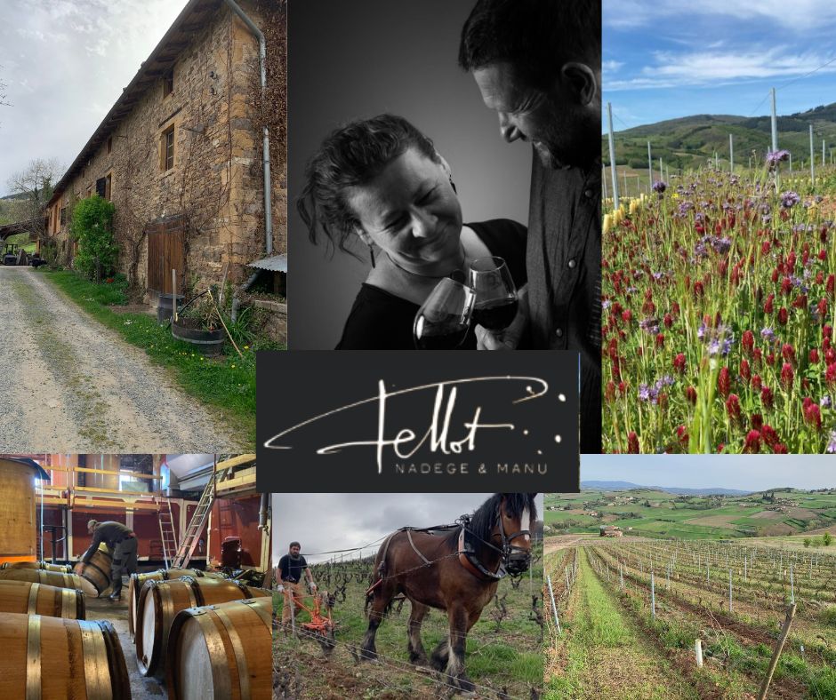 Domaine Fellot: Nadège et Manu, chai et vignobles