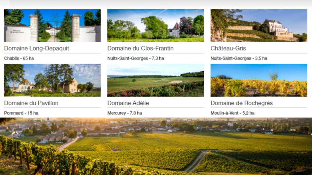 Domaines Albert Bichot