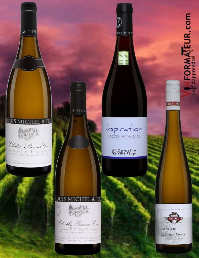 Bouteilles de Louis Michel 1er Cru du Tonnerre et Butteaux, Ville Rouge Crozes Hermitage, Muré Calcaires Jaunes