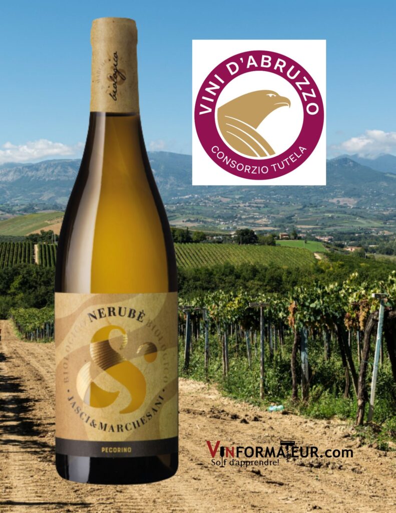 Montepulciano d’Abruzzo, Nerubé, Jasci & Marchesani, vin blanc, Pecorino - bouteille