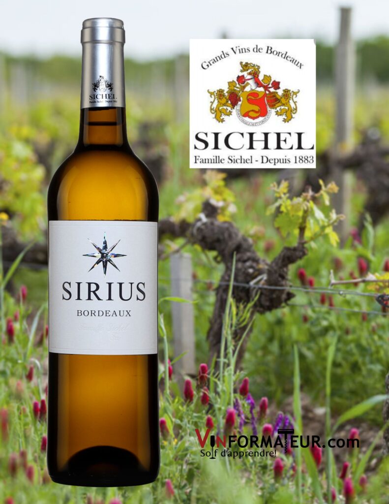 Bouteille de Sirius blanc, Bordeaux, 2020