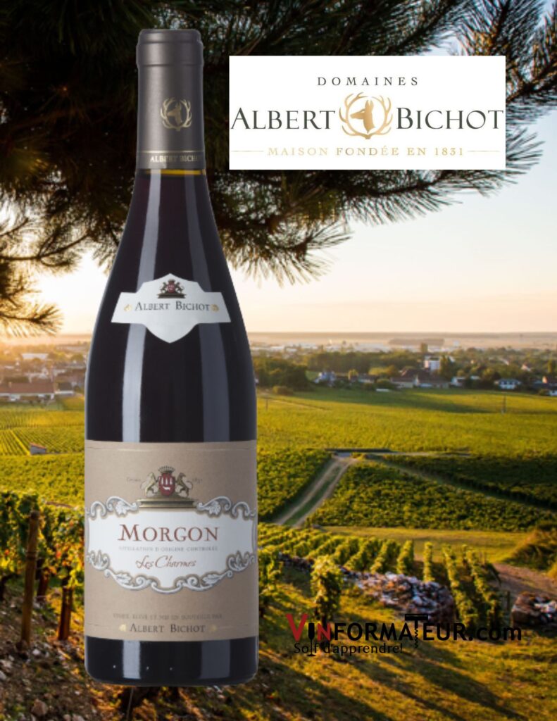 Bouteille de Albert Bichot, Morgon, Les Charmes, 2019