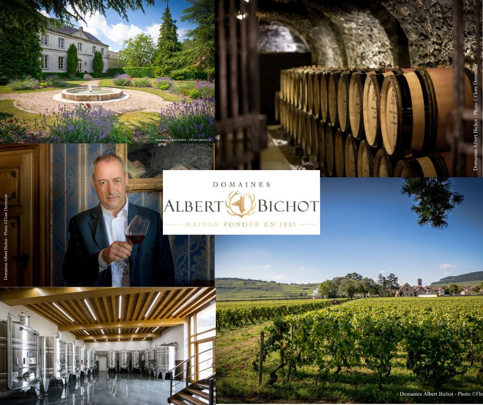 Domaines Albert Bichot: Albéric Bichot, chais et vignobles