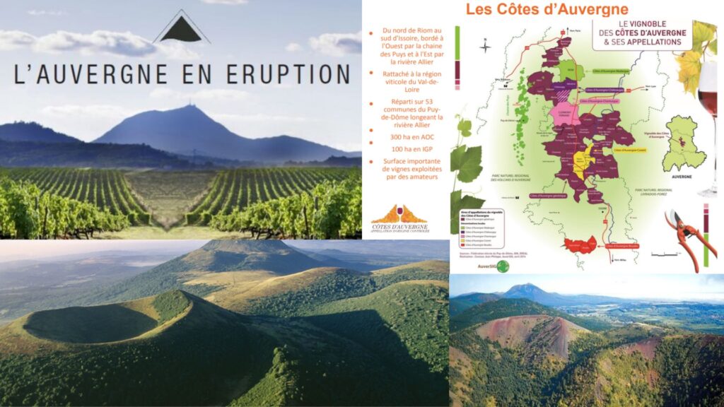 Carte viticole d'Auvergne et volcans de la Chaîne de Puys, vignoble