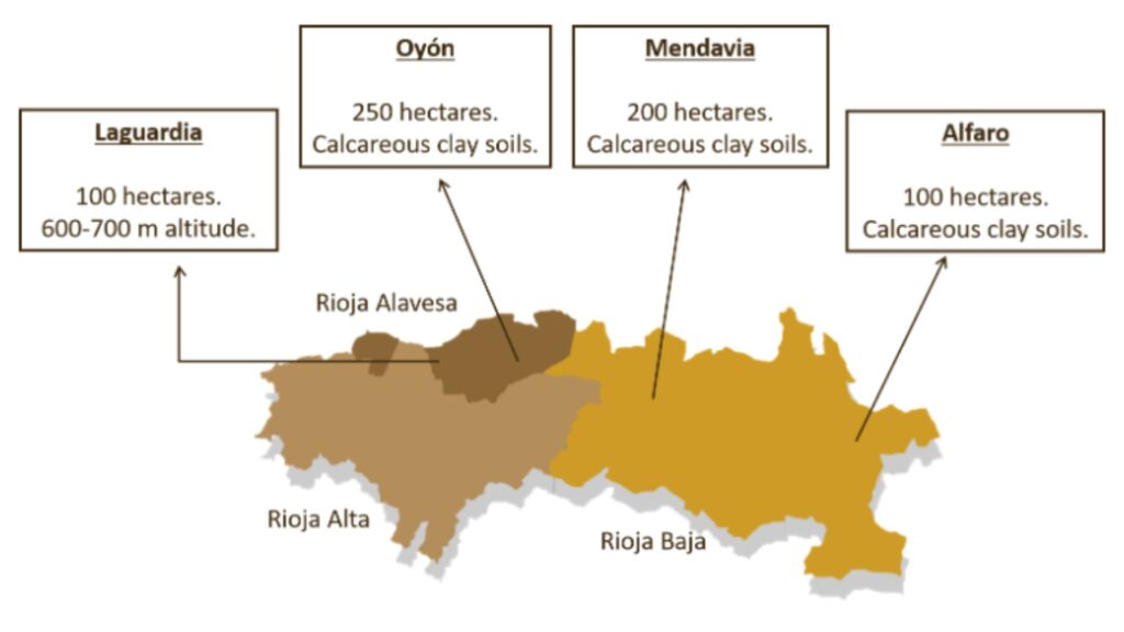 Carte viticole de la Bodegas Faustino