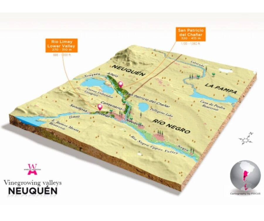 Carte viticole de Neuquen - Patagonie