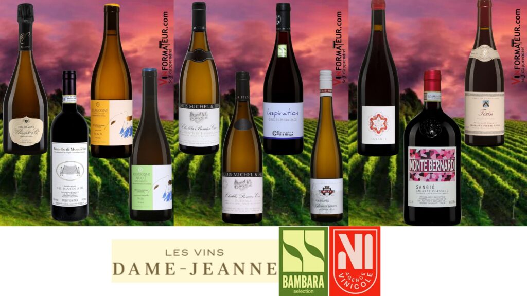 Mes 11 coups de coeur des agences Bambara, Vins Dame-Jeanne et Vinicole!