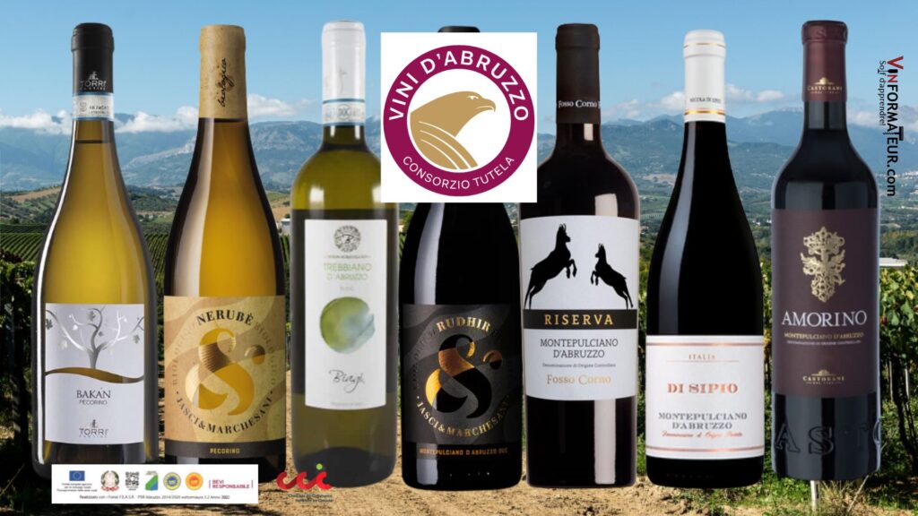 À la découverte des vins de Montepulciano d’Abruzzo!