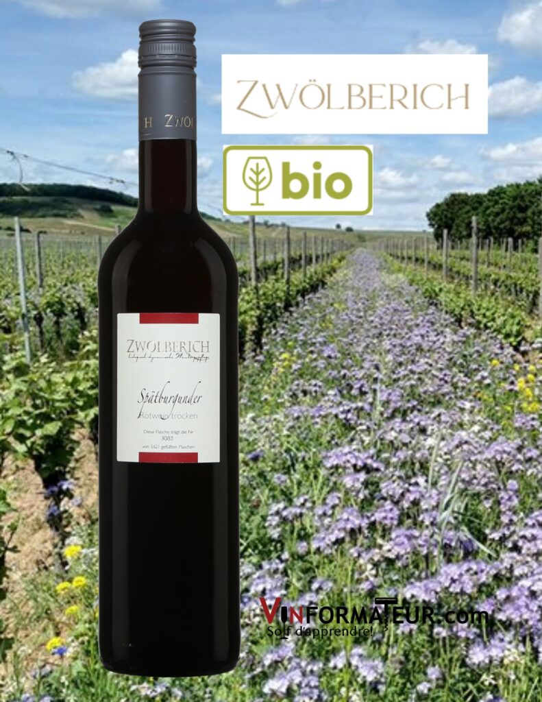 Bouteille de Zwolberich, Spatburgunder, Rotwein trocken, Allemagne, Nahe, Qba, vin rouge bio, 2018