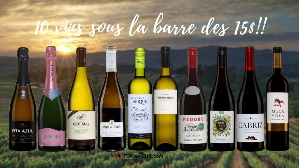 10 vins sous la barre des 15$: Fita Azul, Hungaria Rosé, Grenache de grenache, Adega de Pegoes, Domaine Tariquet Classic, Paranga, Medoro, Symbiose, Cabriz, Mula Vehla. bouteilles
