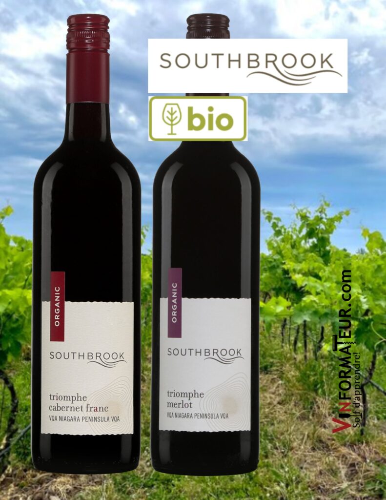 Deux vins bio de la maison Southbrook à découvrir: triomphe: Cabernet franc 2018 25,15$, triomphe Merlot 2018 28,15$.