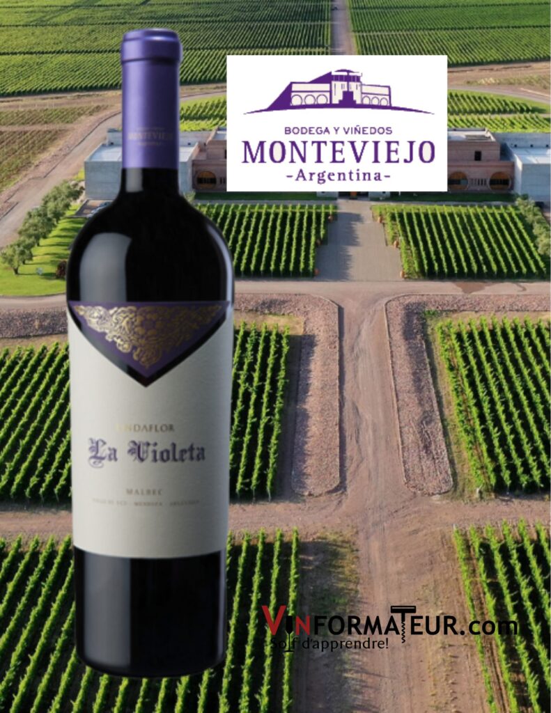 La Violetta, Malbec, Bodega Monteviejo bouteille