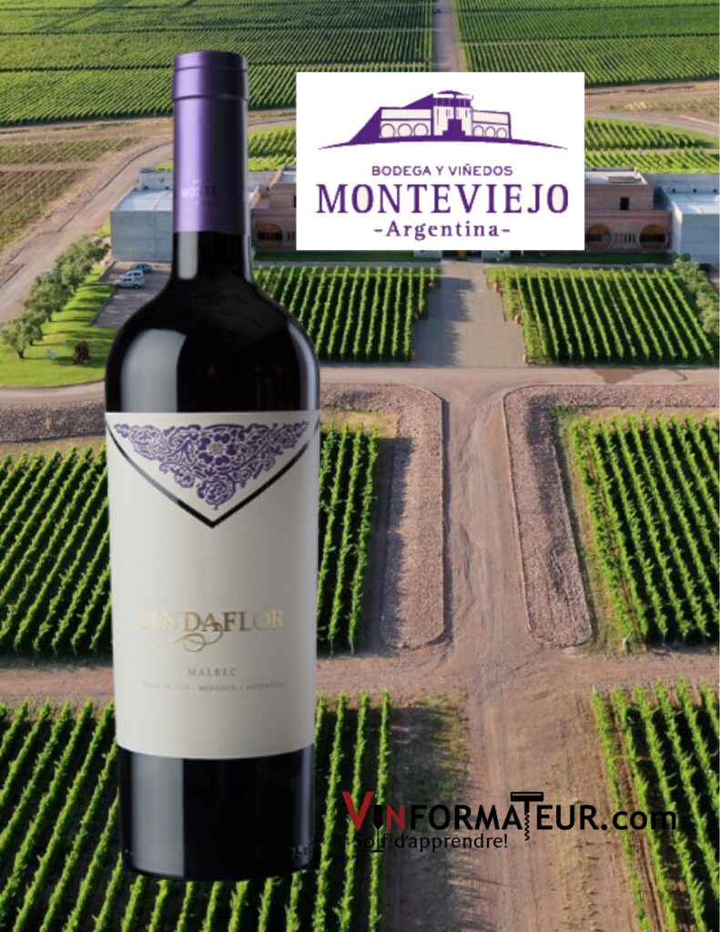 Lindaflor, Malbec, Bodega Monteviejo, Argentine, Valle de Uco, vin rouge, 2016 bouteille