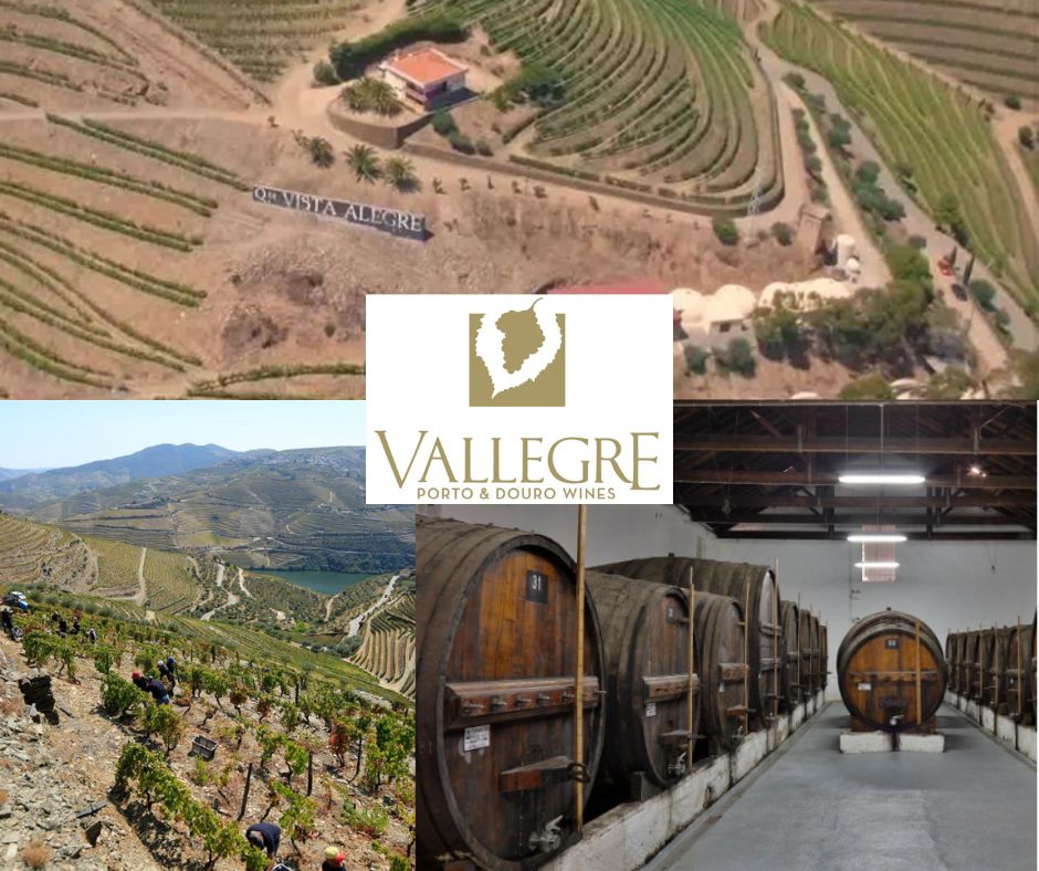 Vallegre Vinhos Do Porto: chai et vignobles