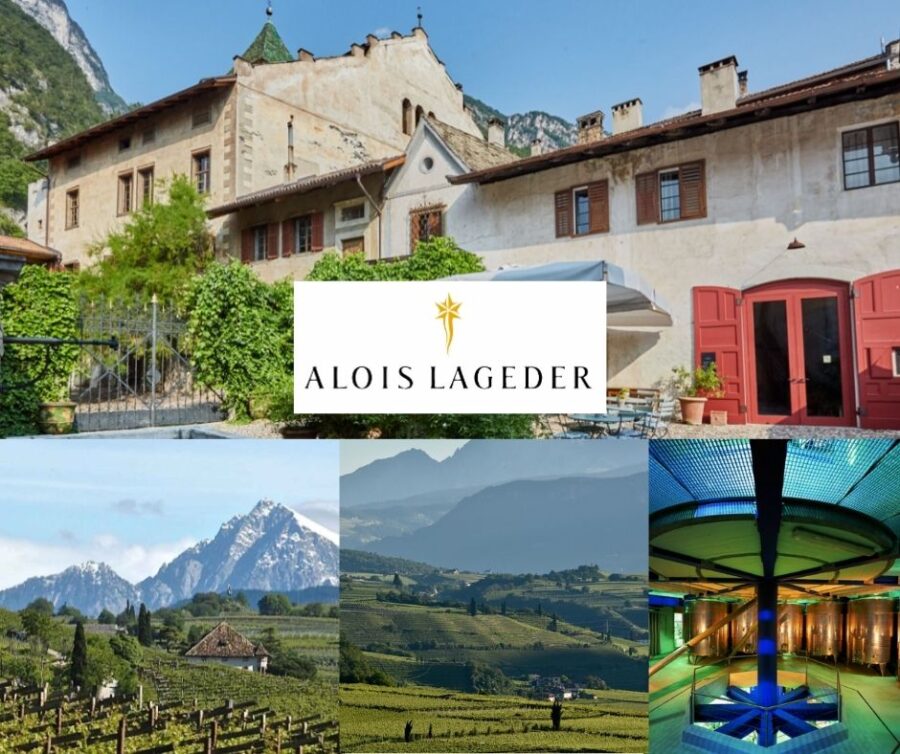 Domaine Alois Lageder: chai et vignobles