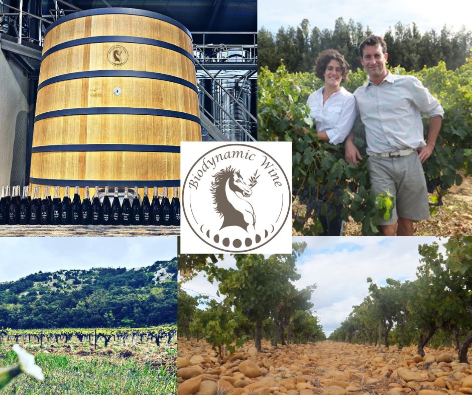 Domaine des Carabiniers: Magali et Fabien Leperchois, chai et vignobles