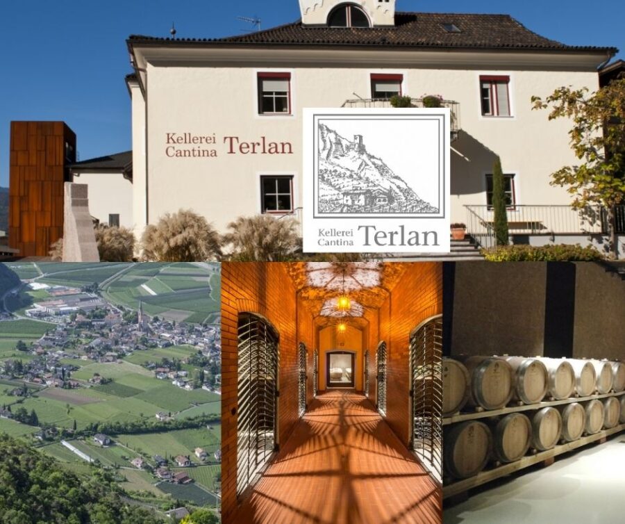 Cantine Terlan: chai et vignobles