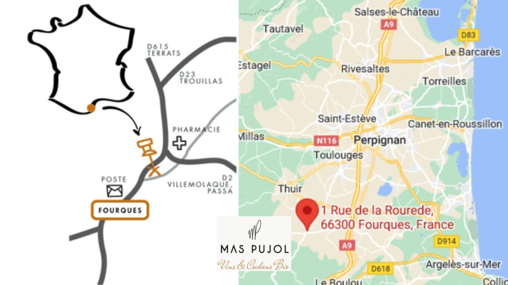 Carte viticole Mas Pujol