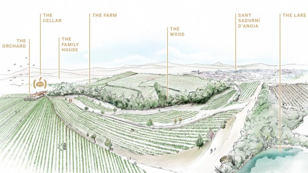 Terroirs Raventos i Blanc