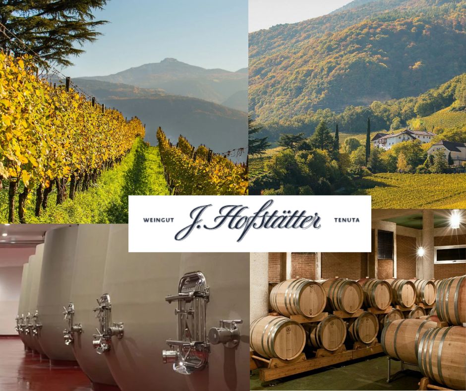 J.Hofstatter: chai et vignobles