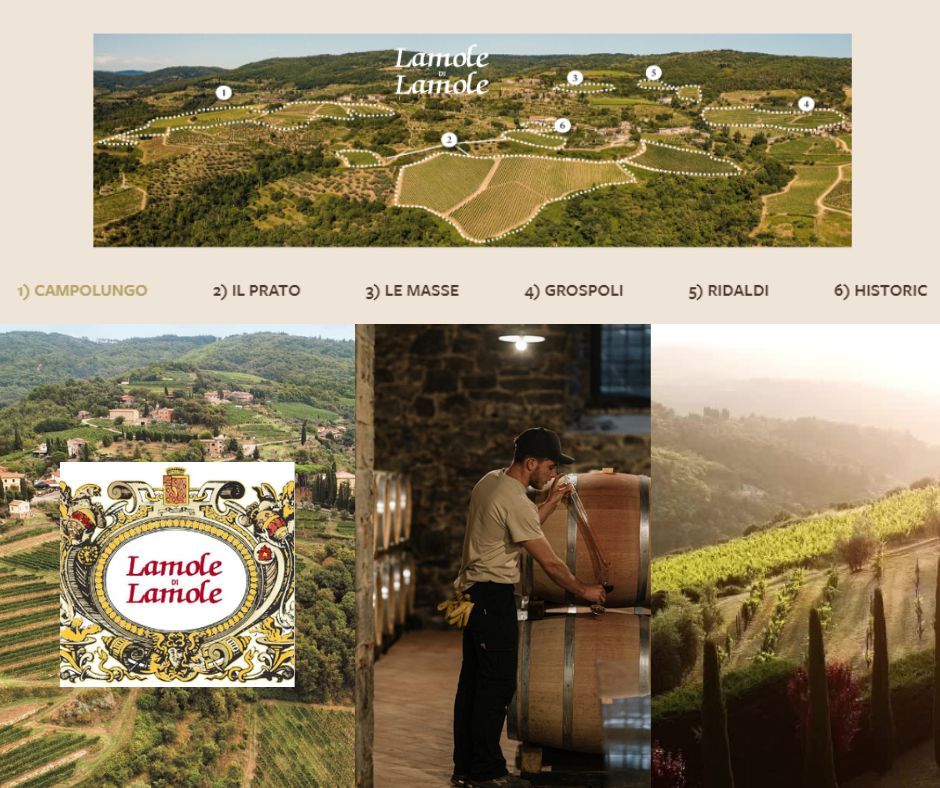 Lamole di Lamole: vignobles et chai