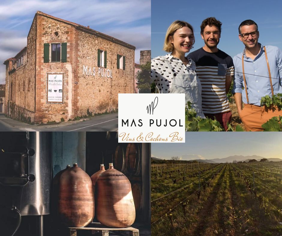 Mas Pujol: Aurélie, Loic et Nicolas, chai et vignobles