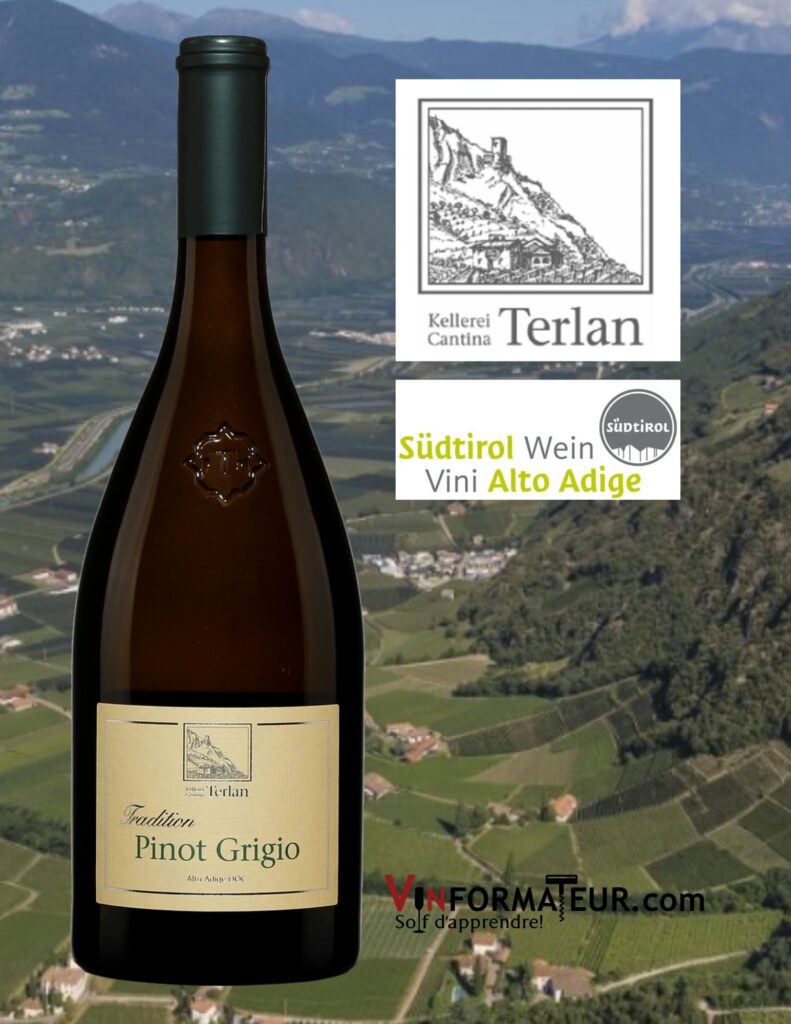 Pinot Grigio, Tradition, Cantina Terlan, Alto Adige DOC, 2021 bouteille