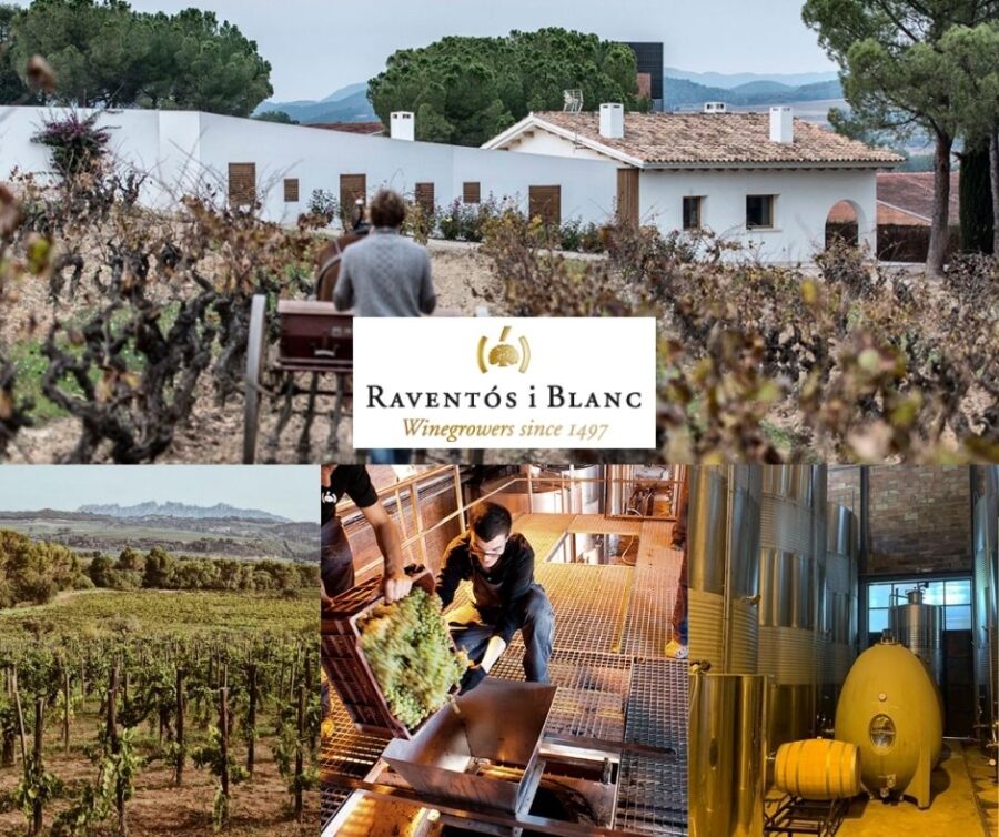 Raventos i Blanc: chai et vignobles
