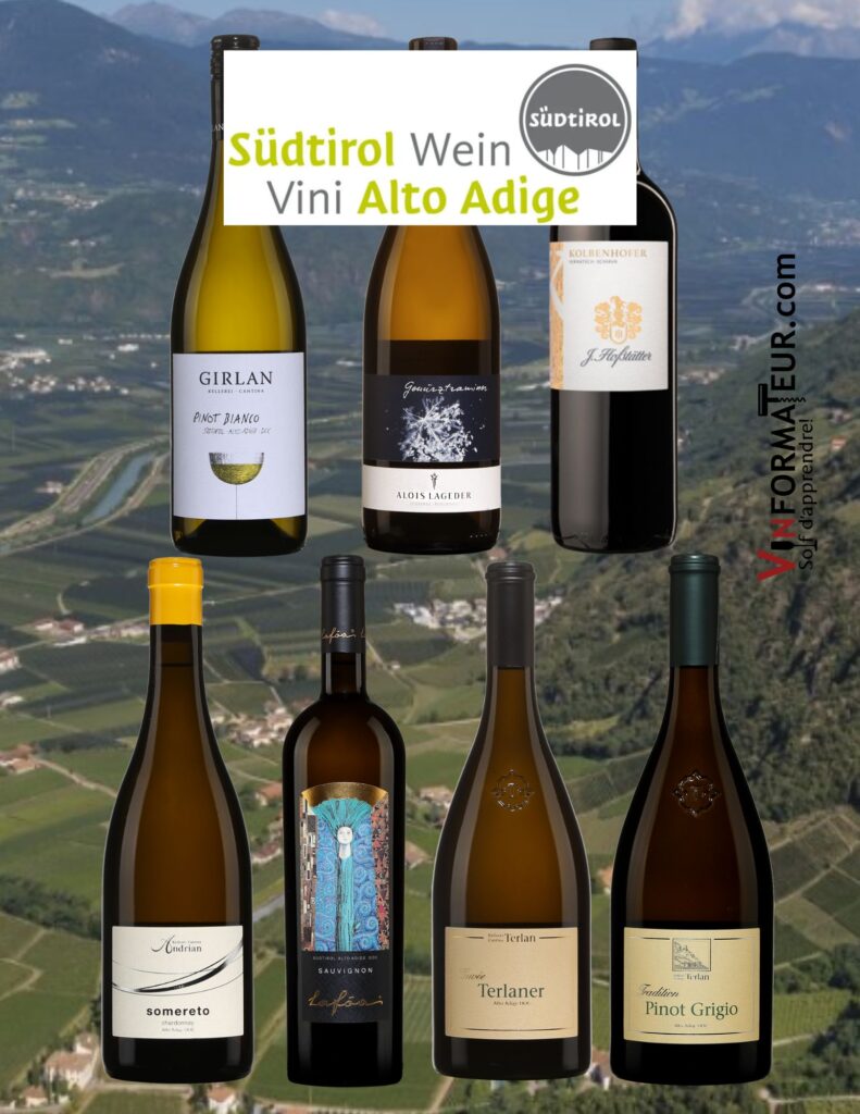 Sept vins de l'appellation Alto Adige: Pinot Bianco Girlan, Gewurtztraminer Alois Lageder, Cuvée Terlaner, Cantine Terlan, Lafoa Colterenzio, Hofstatter vin rouge, Chardonnay Somereto, Pinot Grigio Cantine Terlan. bouteilles