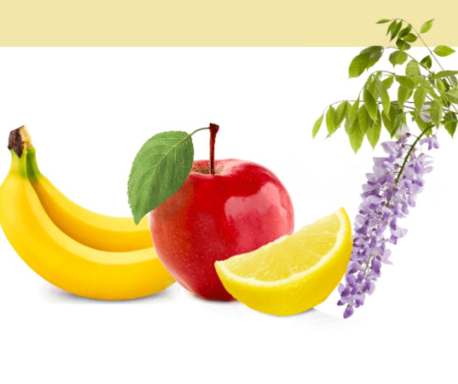 Arômes et saveurs du Prosecco